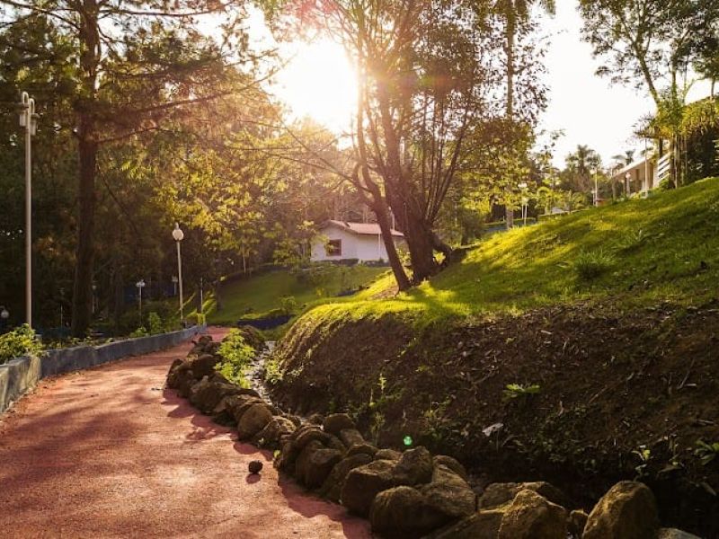 Clínicas de Recuperação Med em Rio Claro- SP
