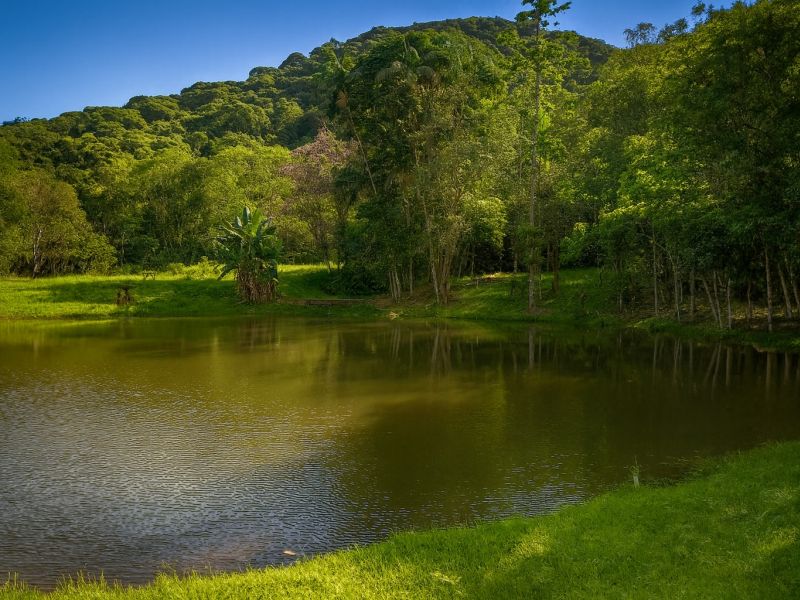 Dependentes químicos e alcoólatras pelo convênio NotreDame Intermédica