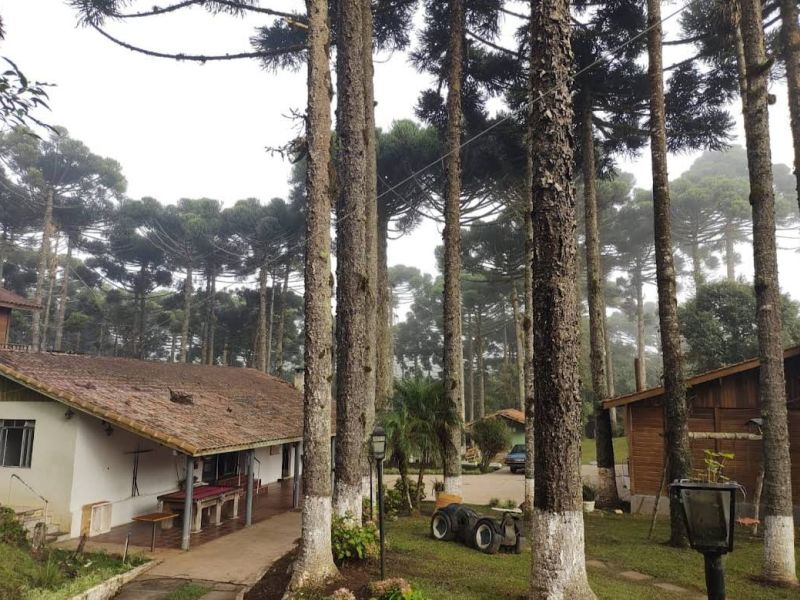 Clínicas de Recuperação em Embu das Artes- SP