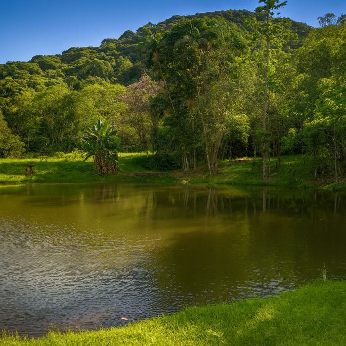 Dependentes químicos e alcoólatras pelo convênio NotreDame Intermédica