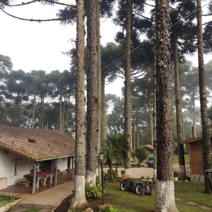 Clínicas de Recuperação em Embu das Artes- SP